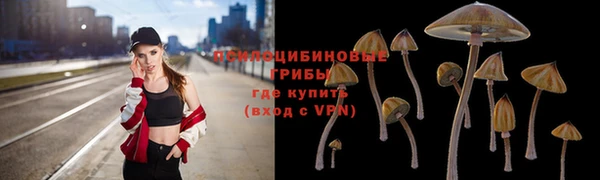соль ск Инсар