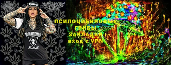 соль ск Каменка