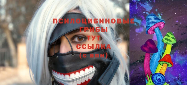 jwh Каменногорск