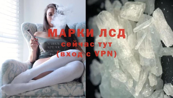 трава Карпинск
