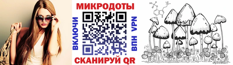 где купить наркоту  Катайск  Псилоцибиновые грибы Cubensis 